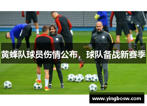 黄蜂队球员伤情公布，球队备战新赛季