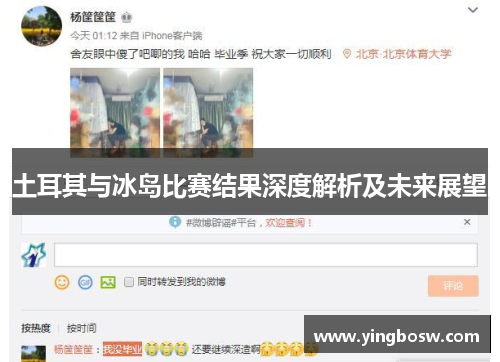 土耳其与冰岛比赛结果深度解析及未来展望