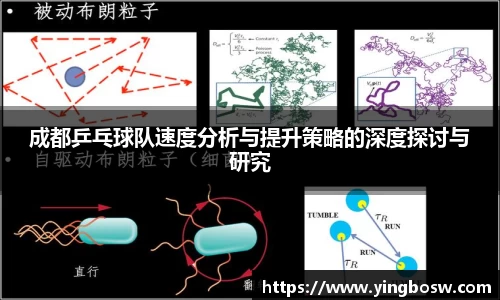 三亿体育官网入口