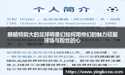 三亿(集团)体育